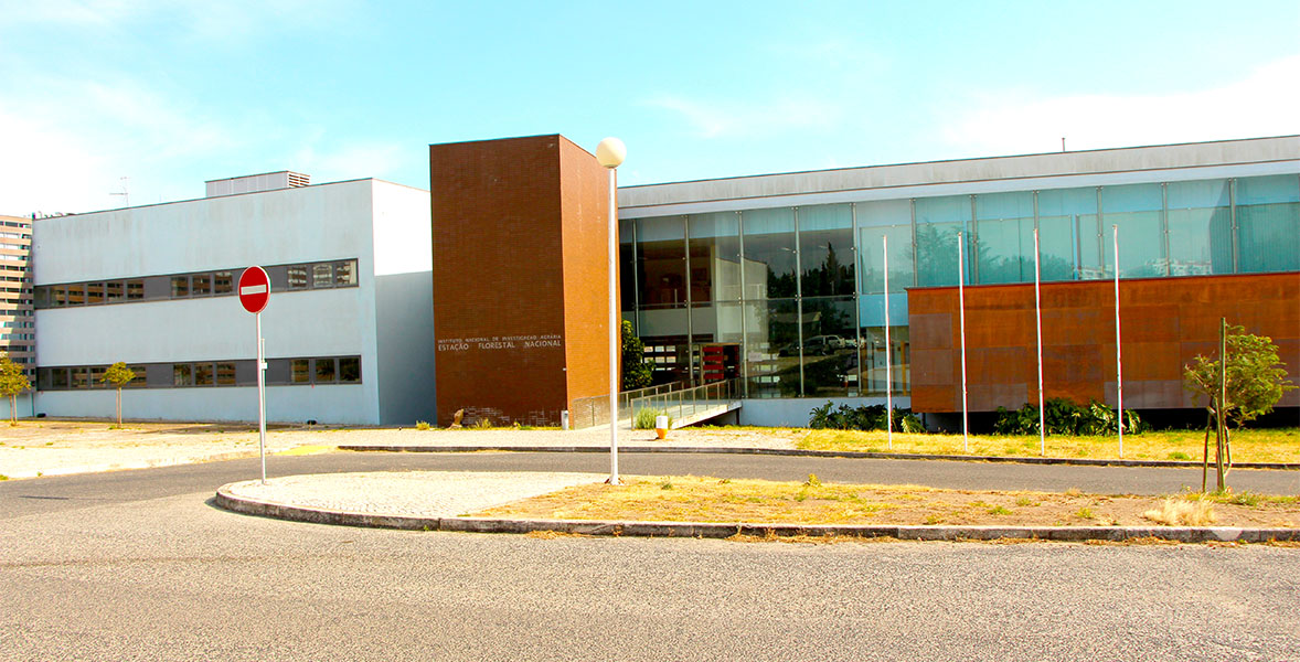 Plant Nematology Lab - INIAV