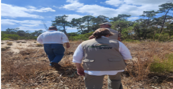 Technical Workshop and Field Visit on Maritime Pine Health