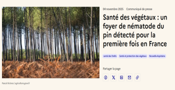  Pine Wood Nematode Detected in France for the First Time