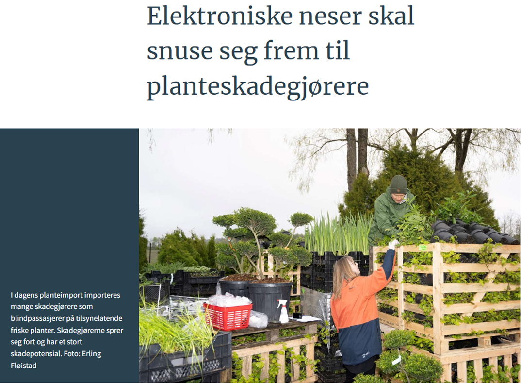 Elektroniske neser skal snuse seg frem til planteskadegjørere
