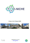 E-NICHE