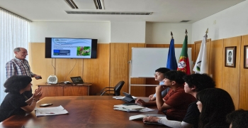 Innovative technologies for the management of the pinewood nematode