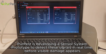 PurPest video – VOC Detection Technology