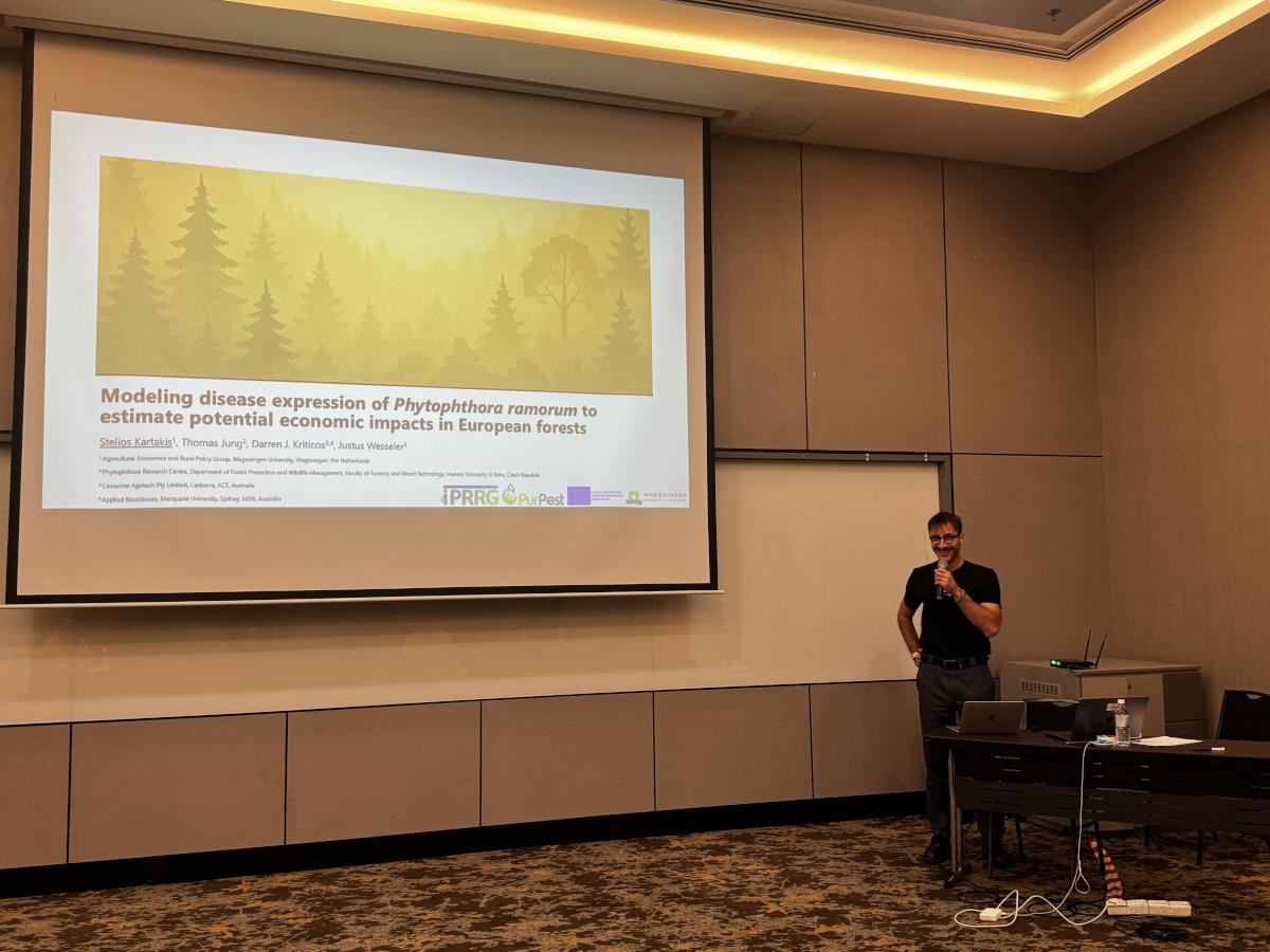 IPRRG 2025 Stelios Kartakis