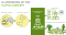 Automating Molecular Layer Deposition